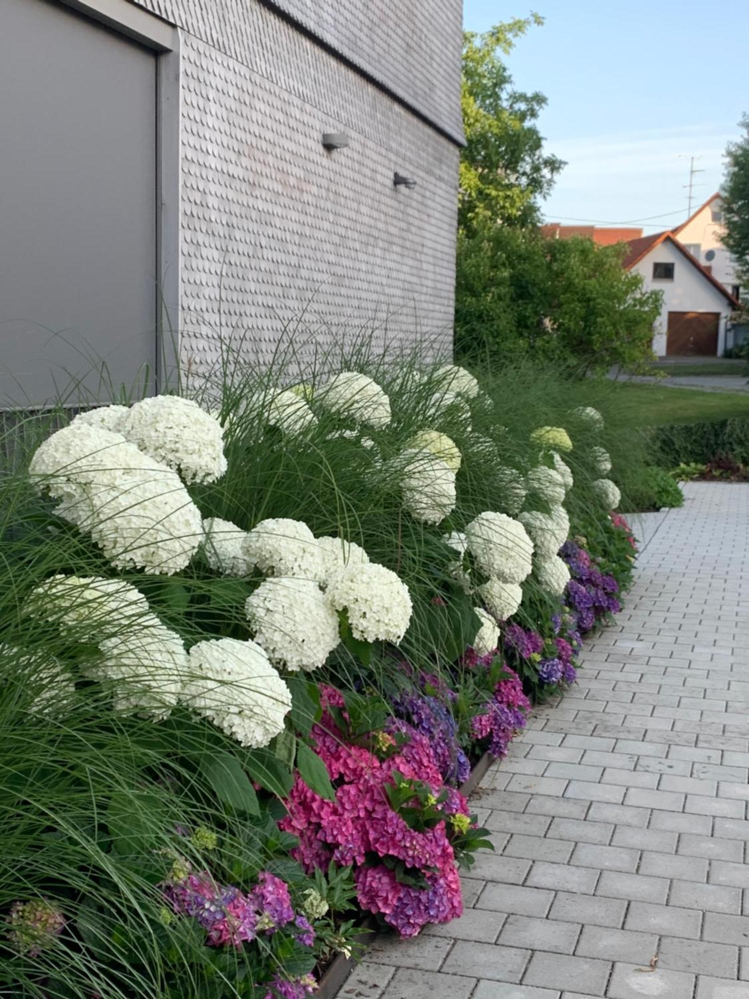 Ferienwohnung Trilogie Am See - Maulbeere Stetten  Exteriör bild